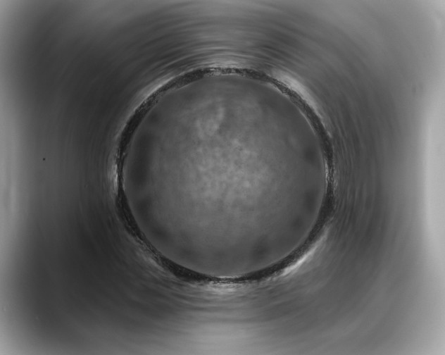 X0000088750829200705311510