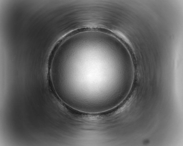 X0000088750831200705311510