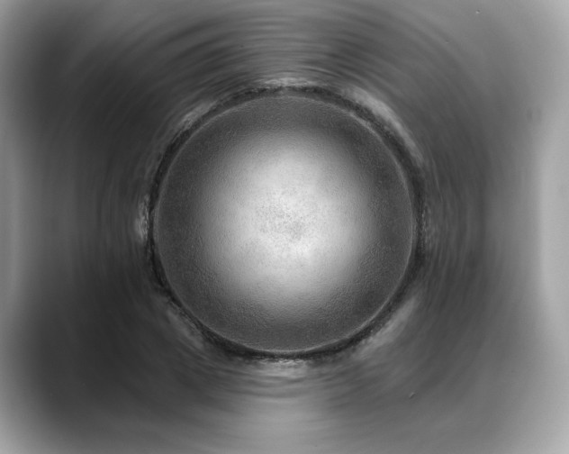 X0000088750833200705311510