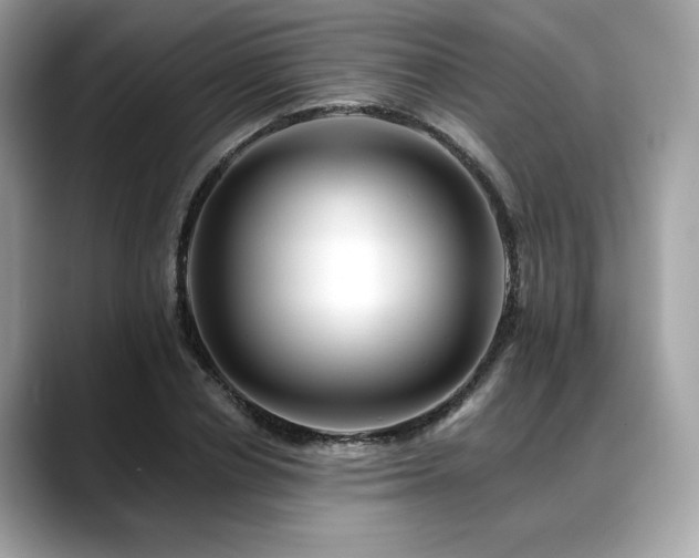 X0000088750834200705311510