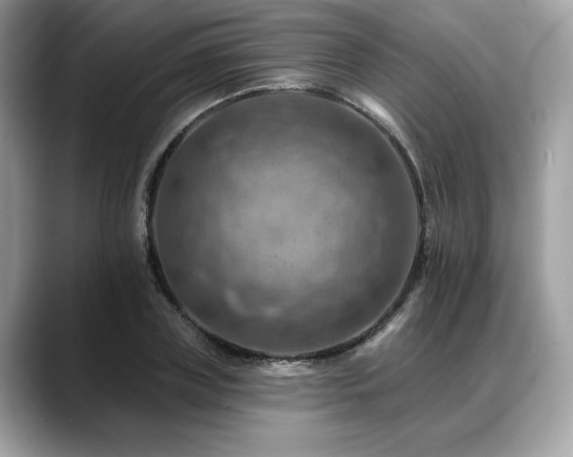 X0000088750835200705311510