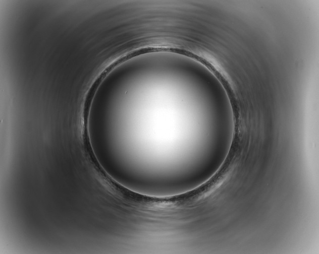 X0000088750837200705311510