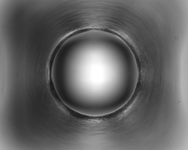 X0000088750838200705311510