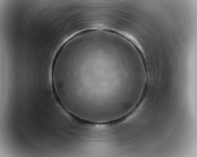 X0000088750839200705311510