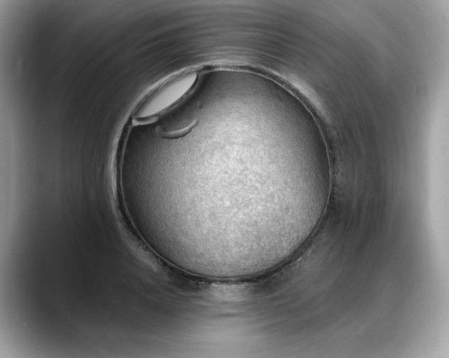 X0000088750840200705311510