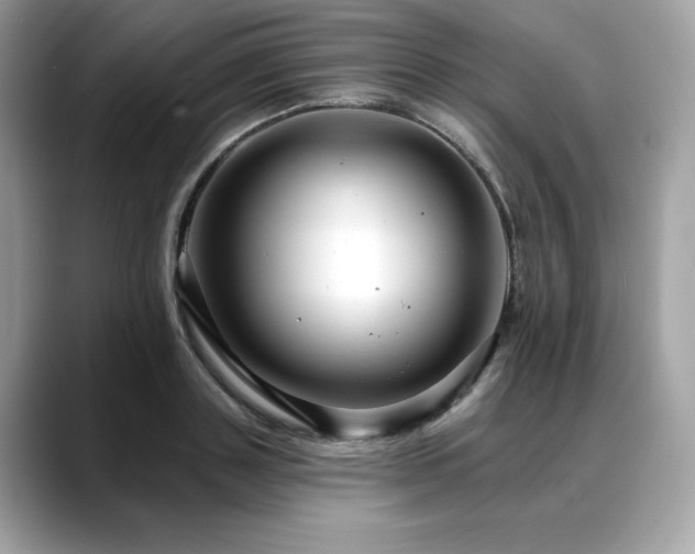 X0000088750843200705311510