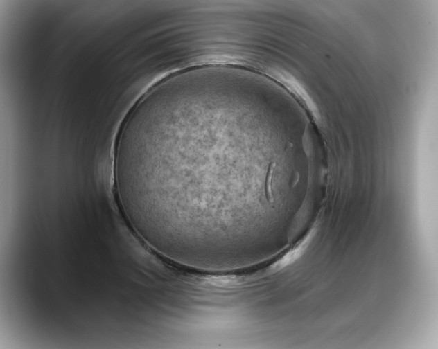 X0000088750844200705311510