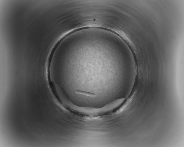 X0000088750846200705311510