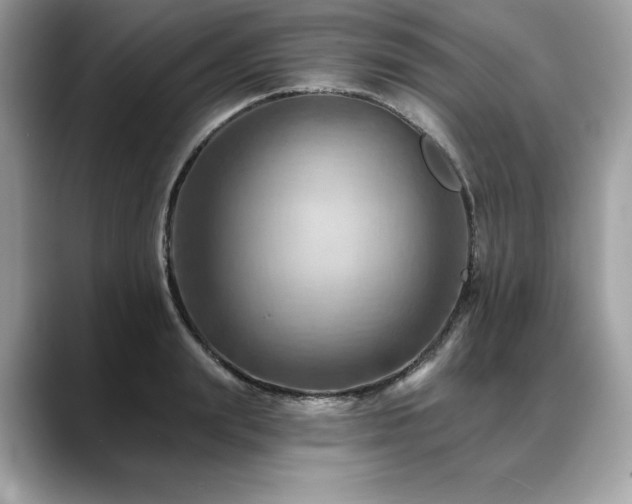 X0000088750847200705311510
