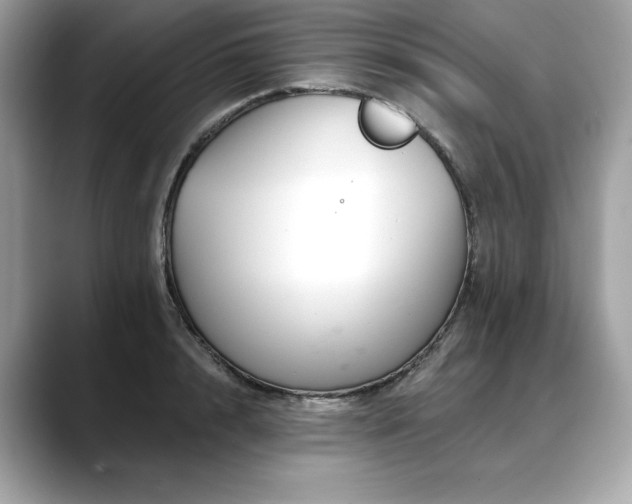 X0000088750848200705311510
