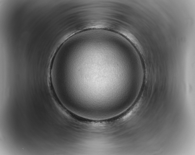 X0000088750850200705311510