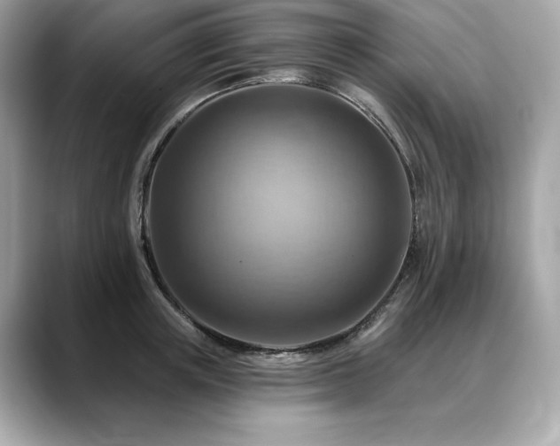 X0000088750851200705311510