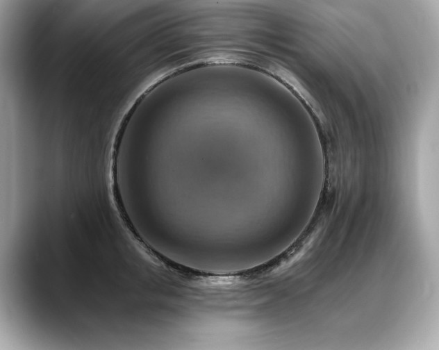 X0000088750853200705311510