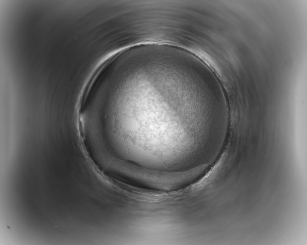 X0000088750854200705311510