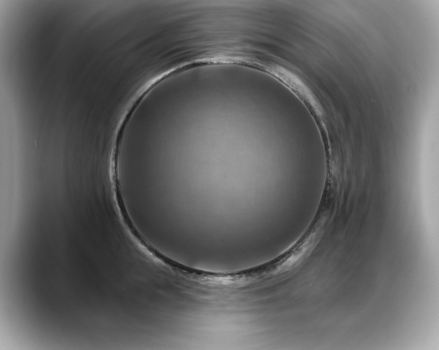 X0000088750855200705311510