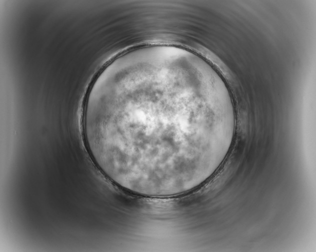 X0000088750856200705311510