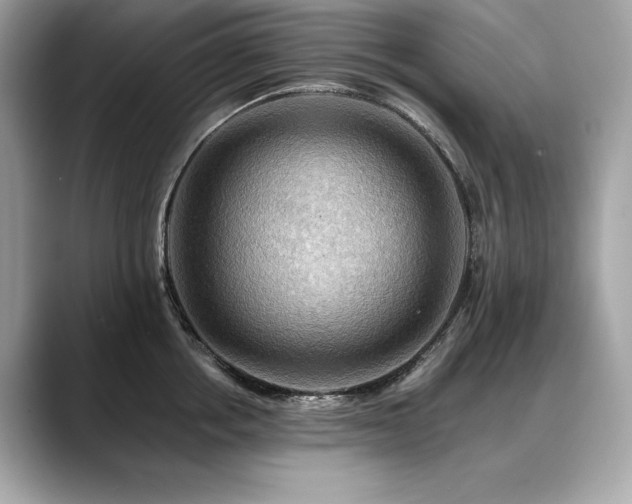 X0000088750858200705311510
