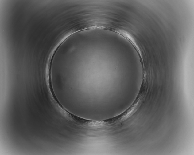 X0000088750859200705311510