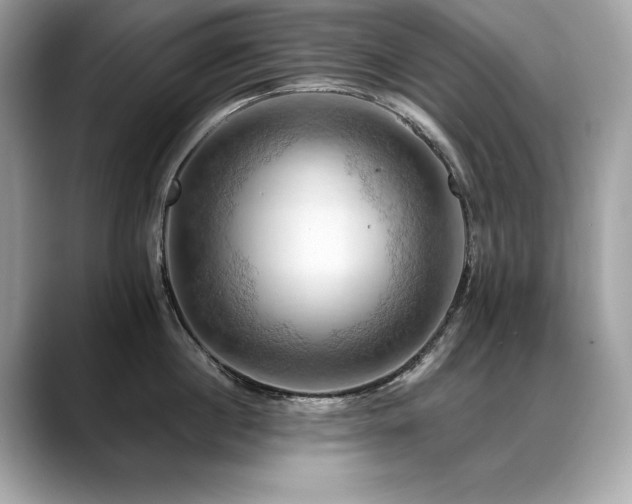 X0000088750860200705311510