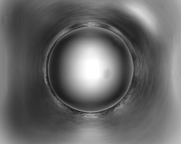 X0000088750861200705311510