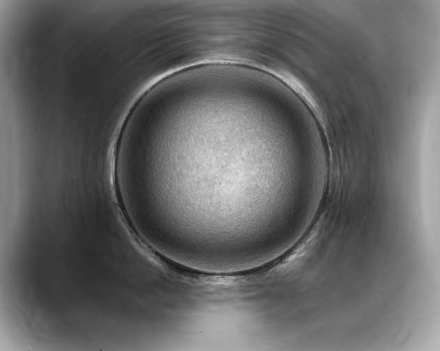 X0000088750862200705311510