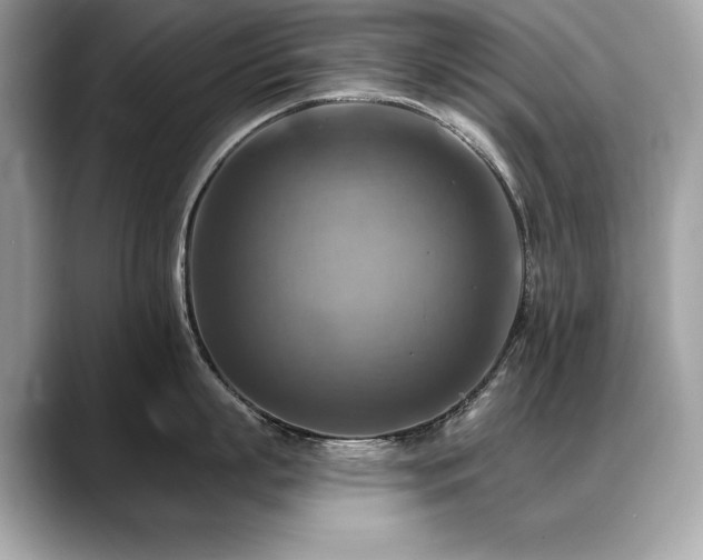 X0000088750863200705311510