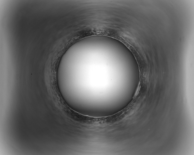 X0000088750865200705311510