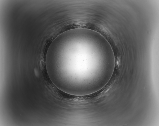 X0000088750867200705311510