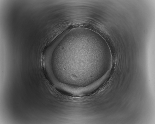 X0000088750868200705311510
