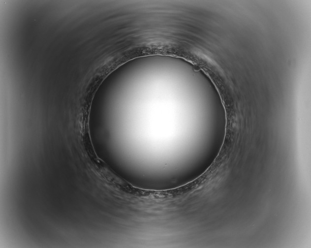 X0000088750869200705311510