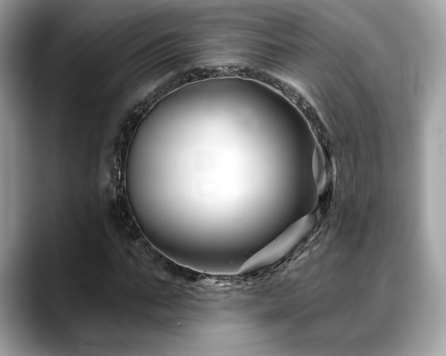X0000088750871200705311510