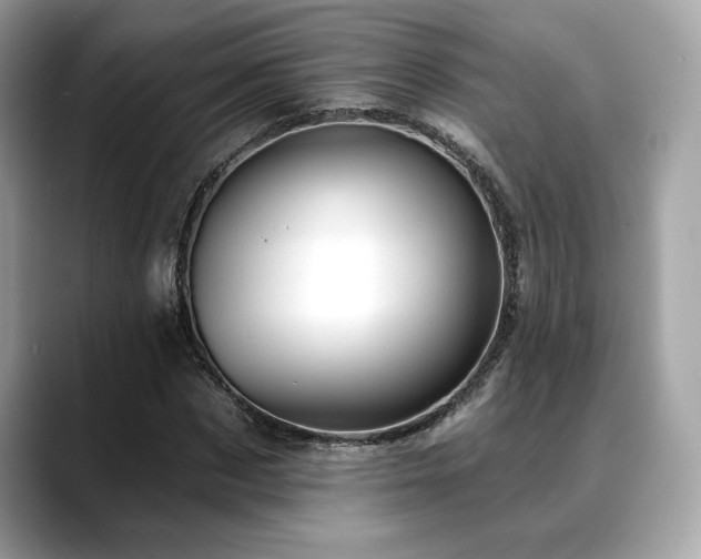 X0000088750873200705311510