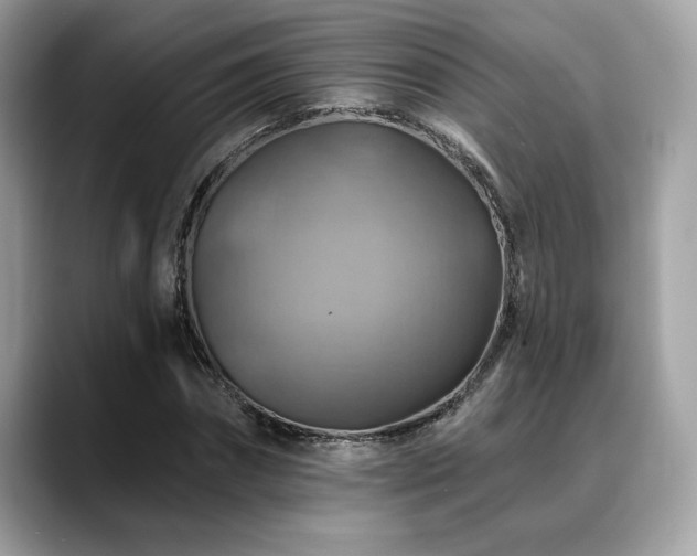 X0000088750874200705311510