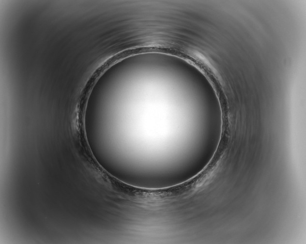 X0000088750875200705311510