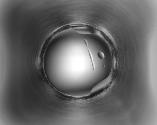 X0000088750876200705311510