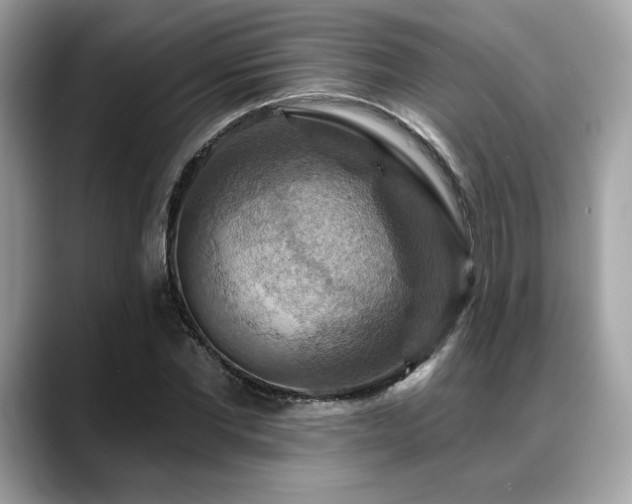 X0000088750877200705311510