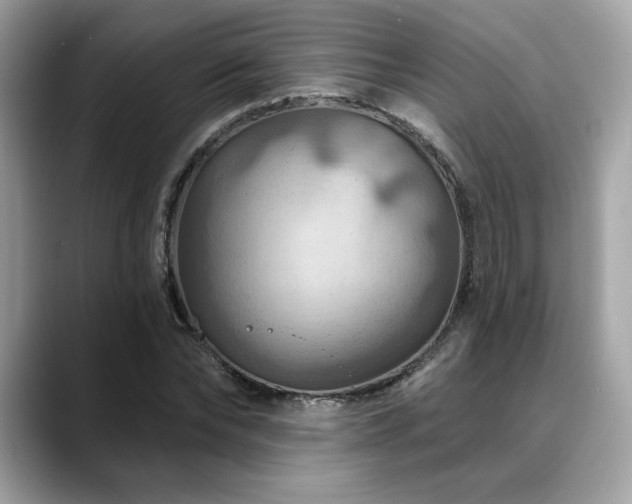 X0000088750878200705311510