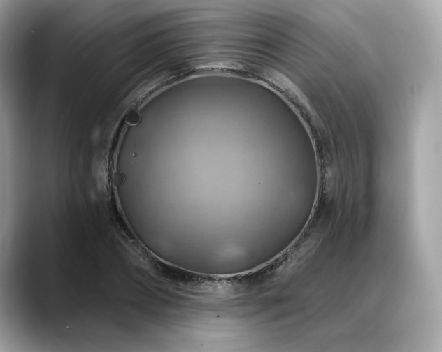 X0000088750882200705311510