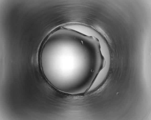 X0000088750884200705311510