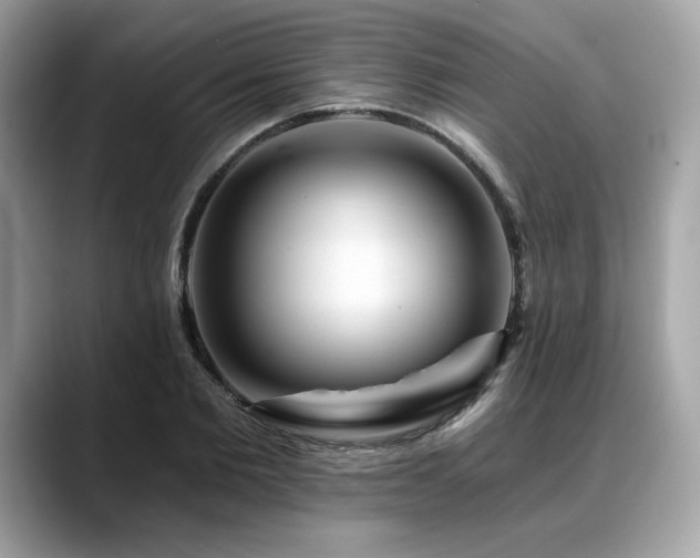 X0000088750885200705311510