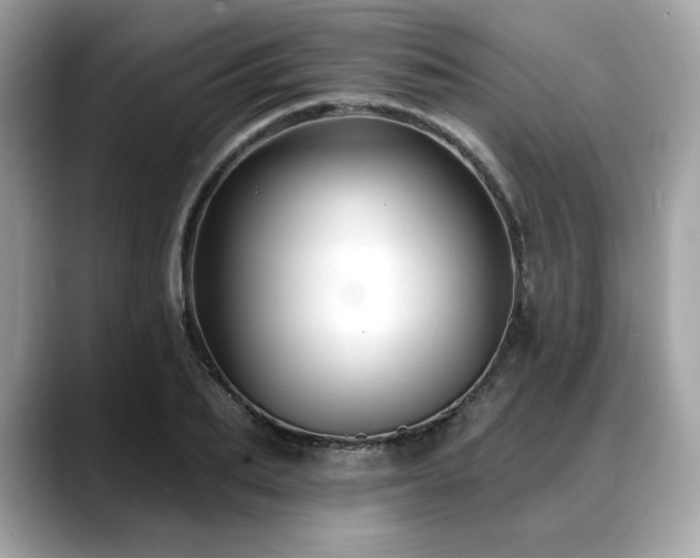 X0000088750887200705311510