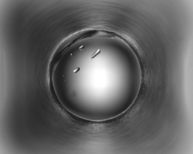 X0000088750888200705311510
