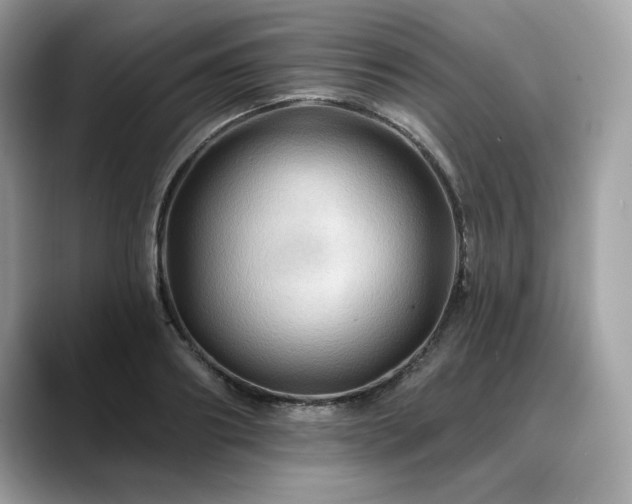 X0000088750890200705311510