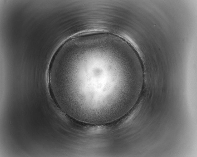 X0000088750891200705311510