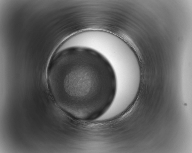 X0000088750892200705311510
