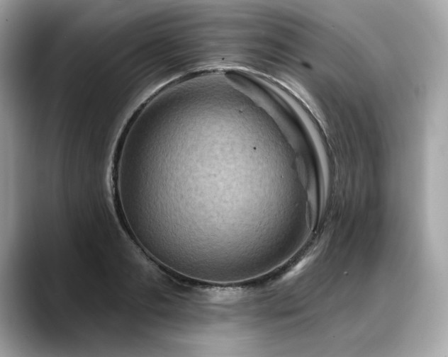 X0000088750893200705311510