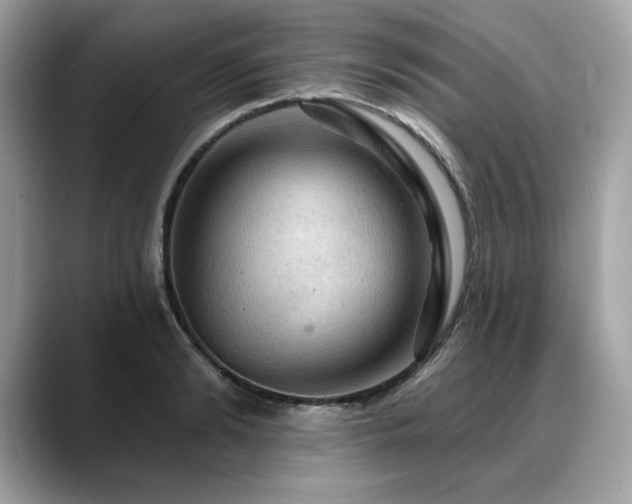 X0000088750894200705311510