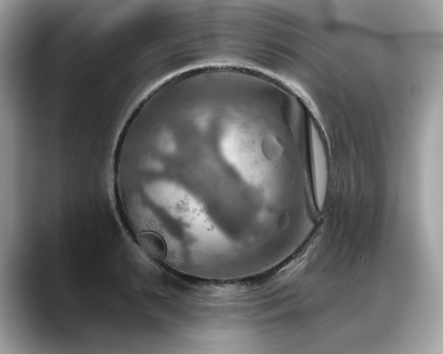 X0000088750895200705311510