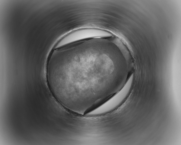 X0000088750896200705311510