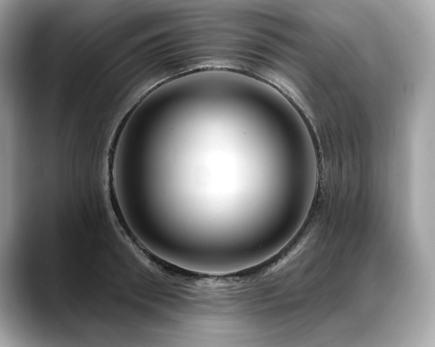 X0000088750898200705311510